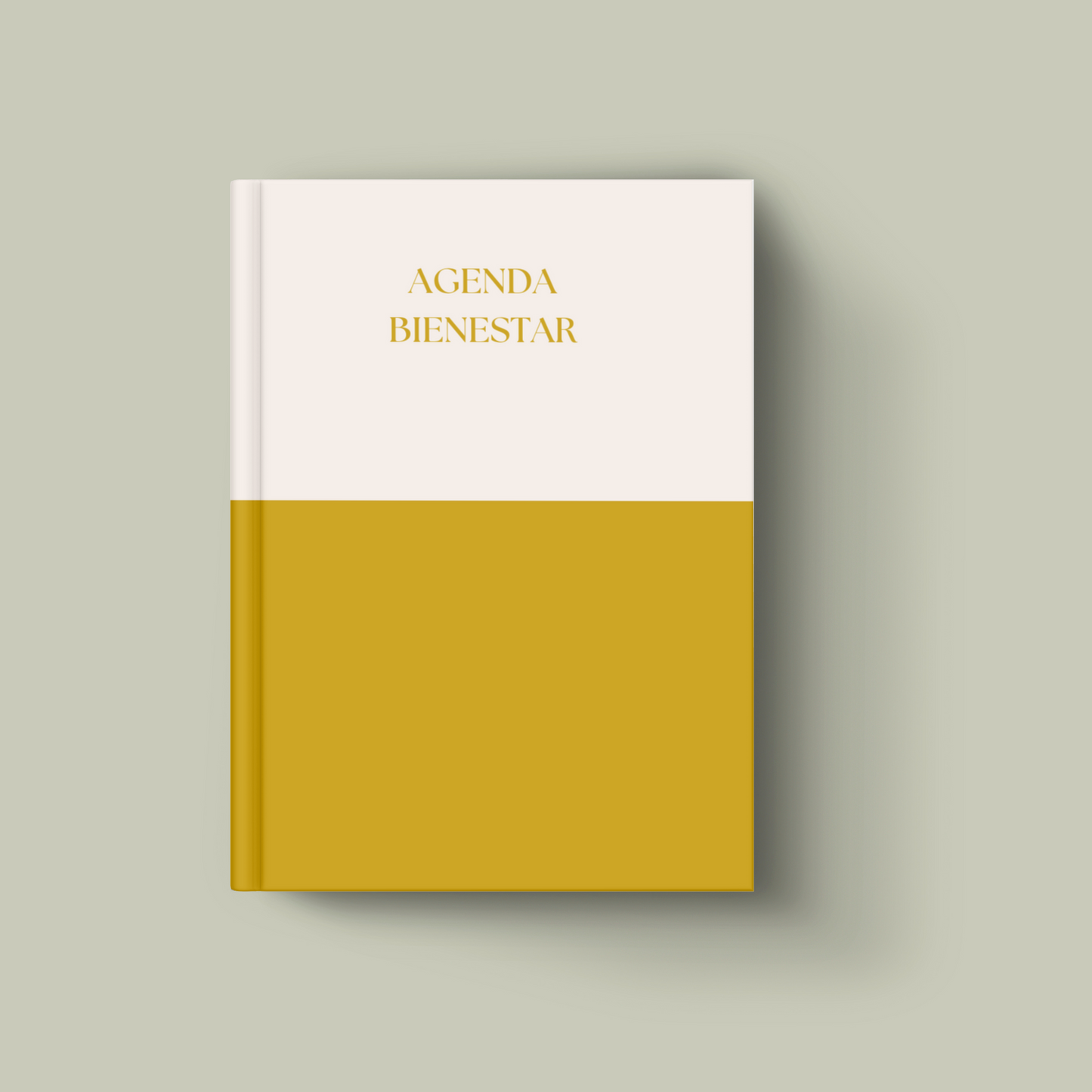 Planificacion-autocuidado-agenda-bienestar